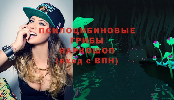 метадон Алексеевка