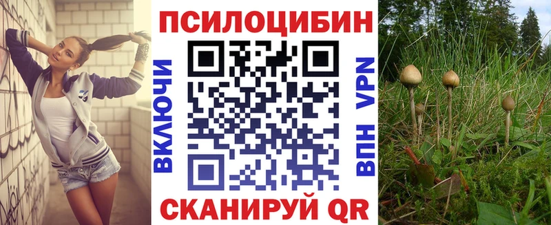 Галлюциногенные грибы Psilocybine cubensis  Осинники 